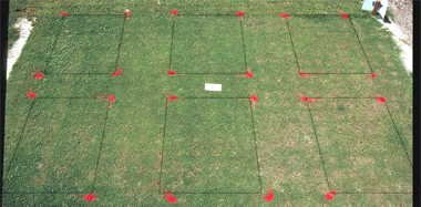 Basagran herbicide effect on MS-Supreme bermudagrass