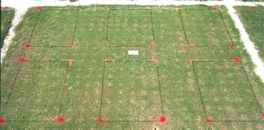 Basagran herbicide effect on PG1 bermudagrass
