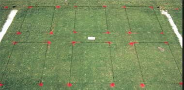 Basagran herbicide effect on TifEagle (1993) bermudagrass