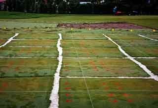 ultratst.jpg (11859 bytes)